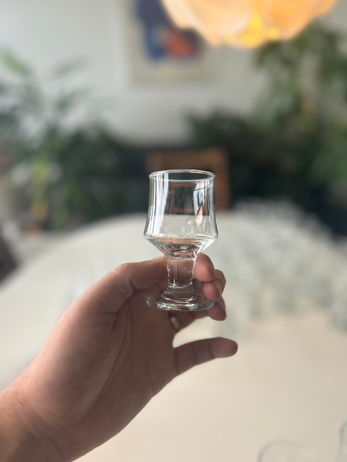 Hamlet glasstel til 12 personer – komplet sæt med 60 glas - billede 13
